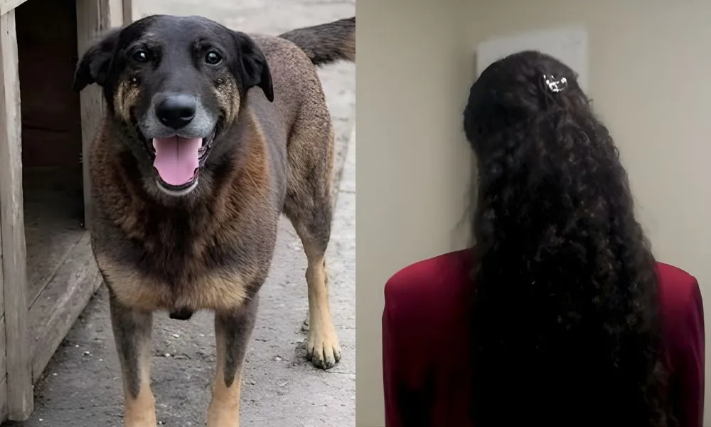Mulher quebra o silêncio sobre suposto objeto usado para matar cão Orelha: “Fortes indícios”