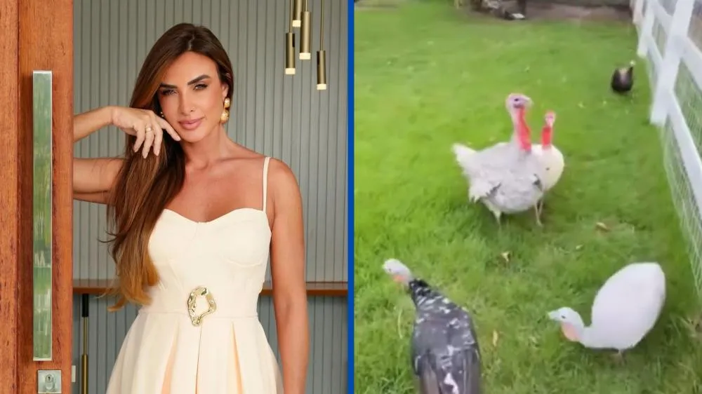 Nicole Bahls diverte a web ao batizar peru com nome de participante do BBB 26: “Bonzinho e inteligente”