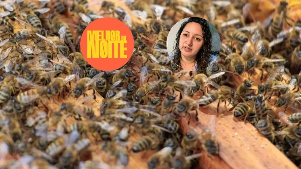 Alerta para ataques de abelhas: Melhor da Noite entrevista vítima e mostra o que fazer