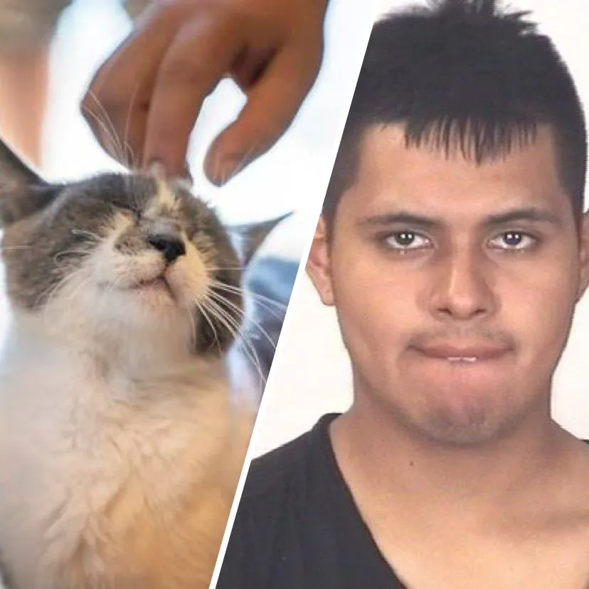 Durante fuga da polícia, ladrão para para fazer carinho em gato e acaba preso