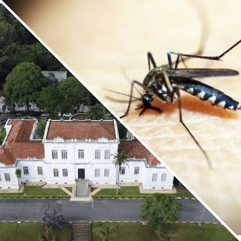 Instituto Butantan desenvolve primeira vacina em dose única contra a Dengue no mundo; instituto espera aprovação da Anvisa 