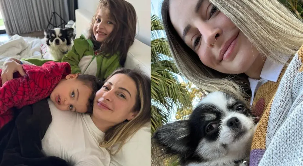 Ex de Projota expõe morte trágica de pet atropelado e desabafa: “Perdi meu melhor amigo”