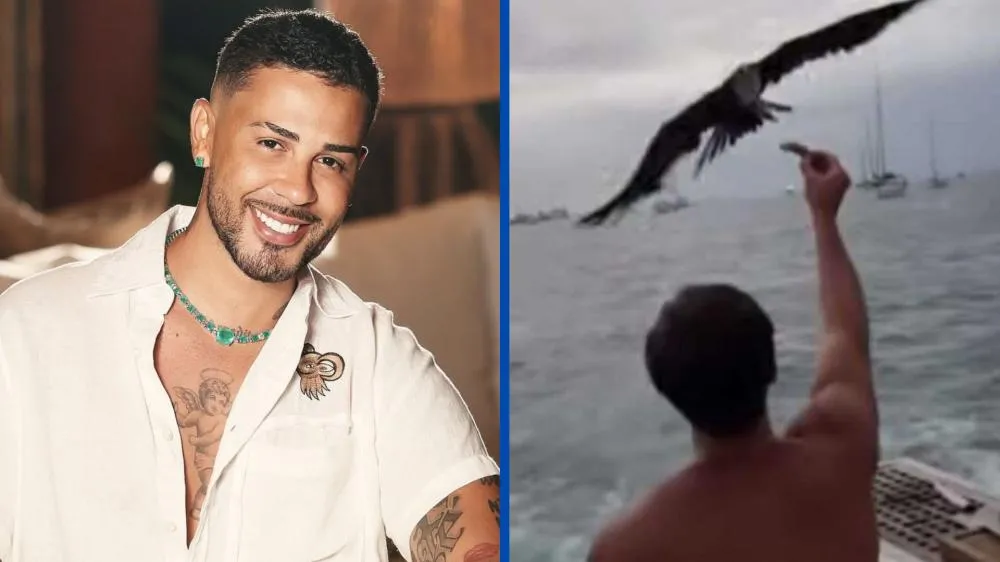 Multa milionária contra Carlinhos Maia por filmar gaivota em Fernando de Noronha é suspensa