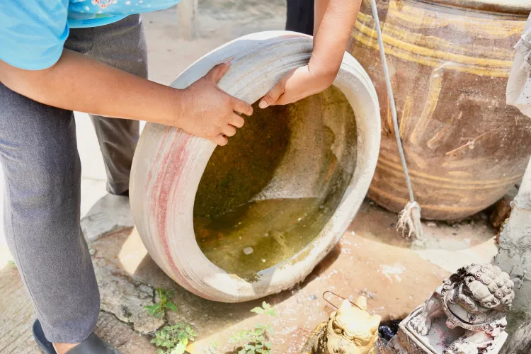 Entenda porque os casos de dengue aumentam no verão. E proteja-se
