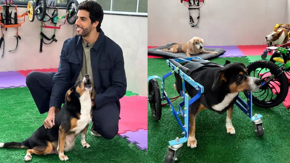 Julinho Casares visita novo canil adaptado para cães com deficiência no Instituto Caramelo