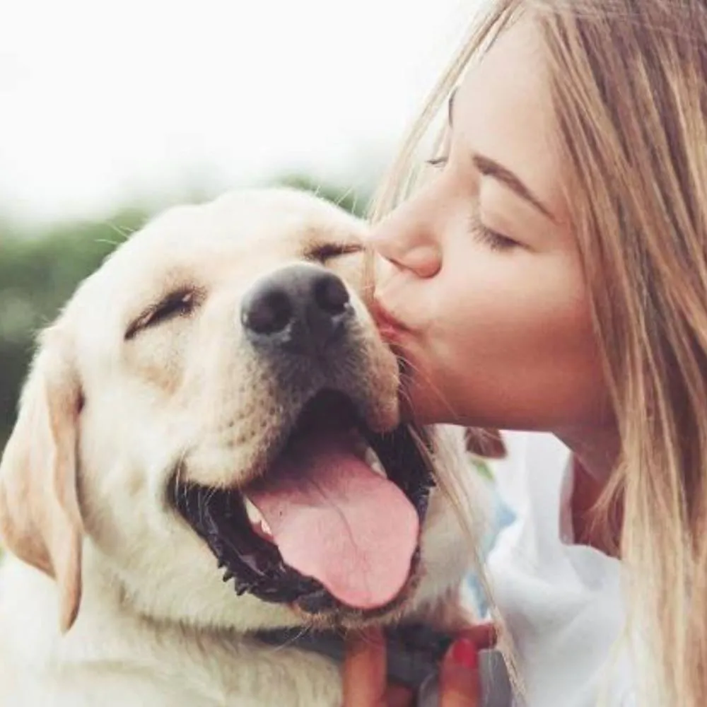 Pesquisa aponta que 70% dos Millennials, os nascidos entre os anos 80 e 90, preferem ser ‘pais de pet’ a ter filhos