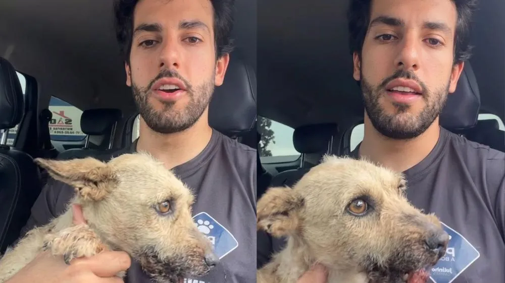 No Dia dos Pais, Julinho Casares resgata cachorrinha com boca quebrada e faz desabafo: “Dá pra fingir que não viu?”