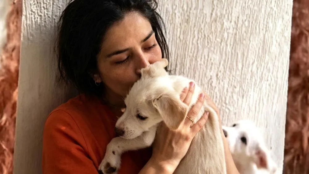 Entenda motivo para Justiça determinar busca e apreensão de cachorro de Letícia Sabatella