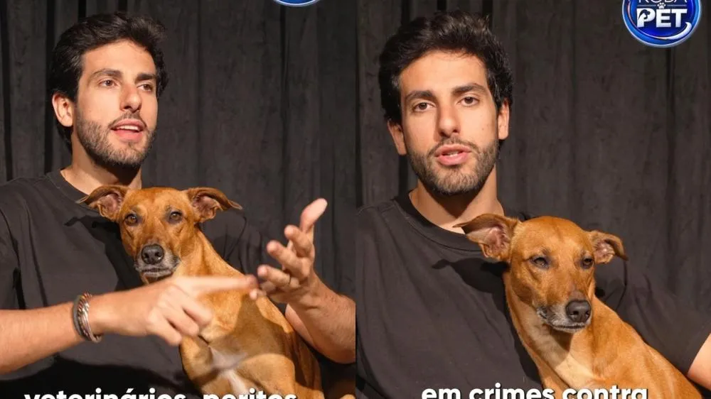 Julinho Casares propõe fortalecimento e expansão de delegacias especializadas em crimes contra os animais