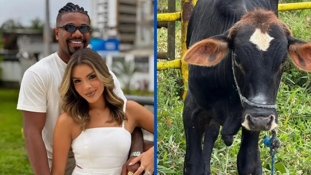 Davi Brito choca seguidores ao mostrar vivo o boi que será servido em seu casamento: “Tá gordinho”