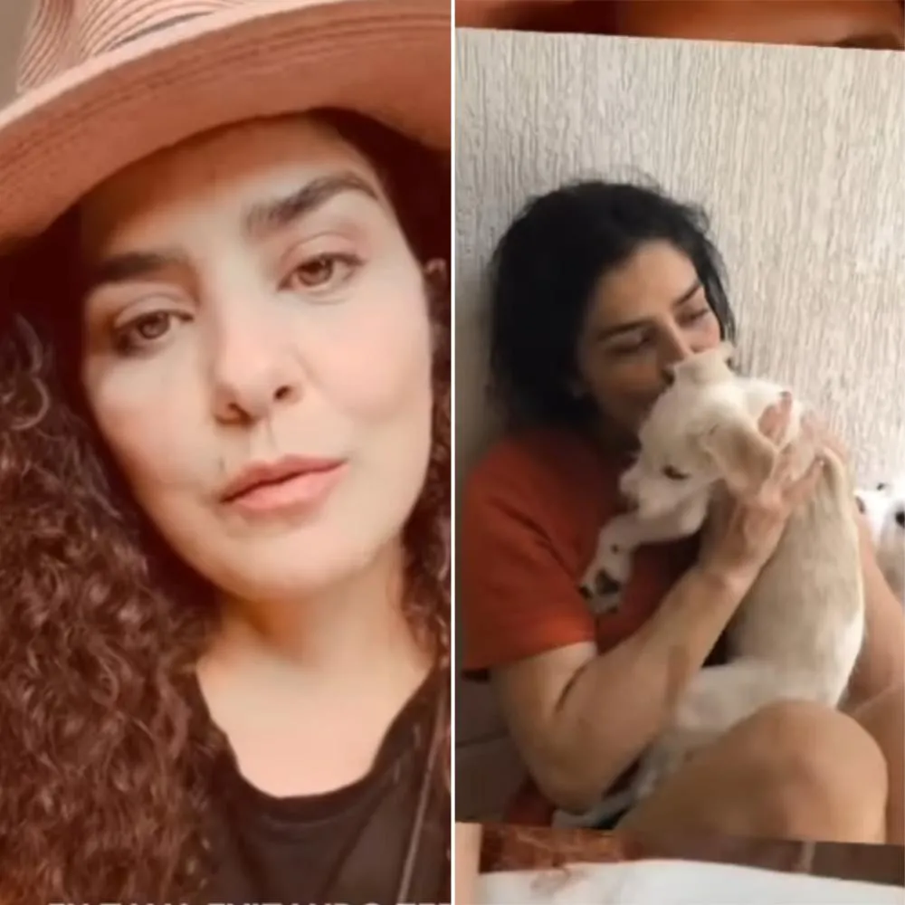 Letícia Sabatella pede ajuda após seus cachorros serem adotados por terceiros sem sua autorização