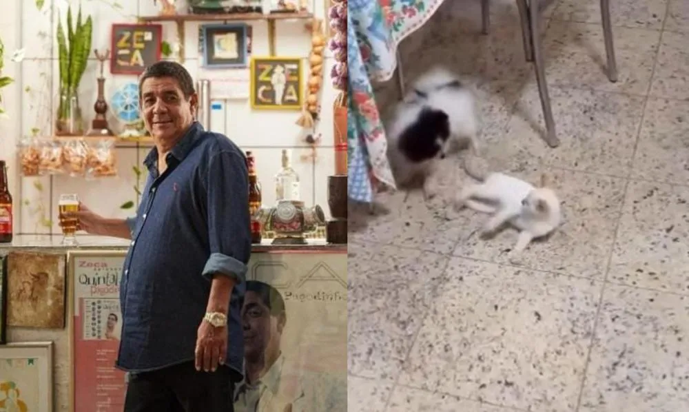 Zeca Pagodinho pede ajuda aos fãs para encontrar gata perdida: “A gente tá com saudade”