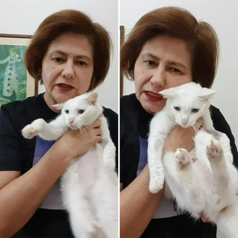 Narjara Tureta promove rifa para ajudar no tratamento do seu gato