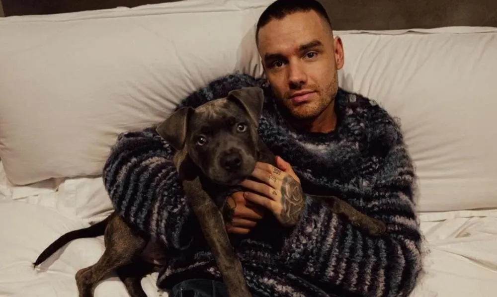Liam Payne: morte do cantor tem novas informações
