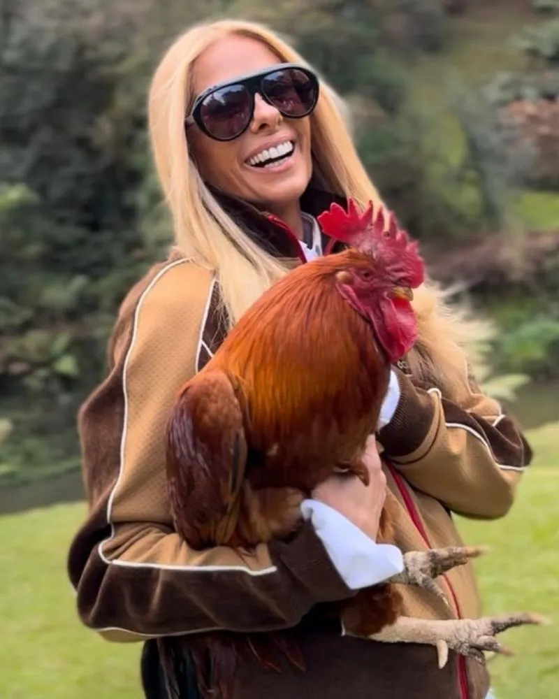 A Fazenda 17: Adriane Galisteu compartilha ansiedade; veja o que esperar desta edição
