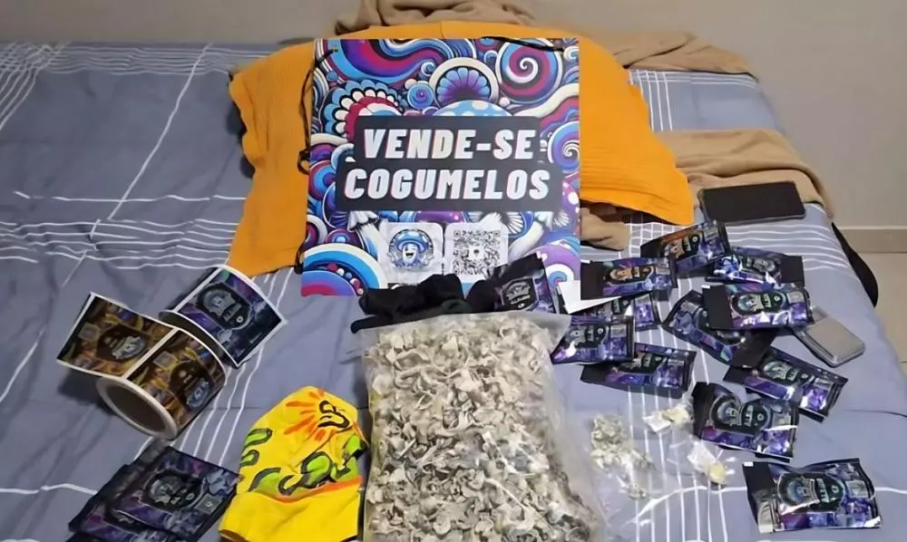 Organização criminosa é presa por vender 'cogumelos mágicos' no Distrito Federal