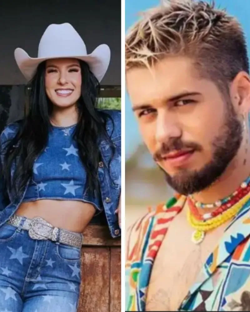 Zé Felipe aparece em stories gravados por amiga de Ana Castela durante churrasco; veja o vídeo