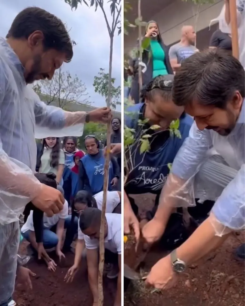 Prefeitura ultrapassa 100 mil árvores plantadas na capital