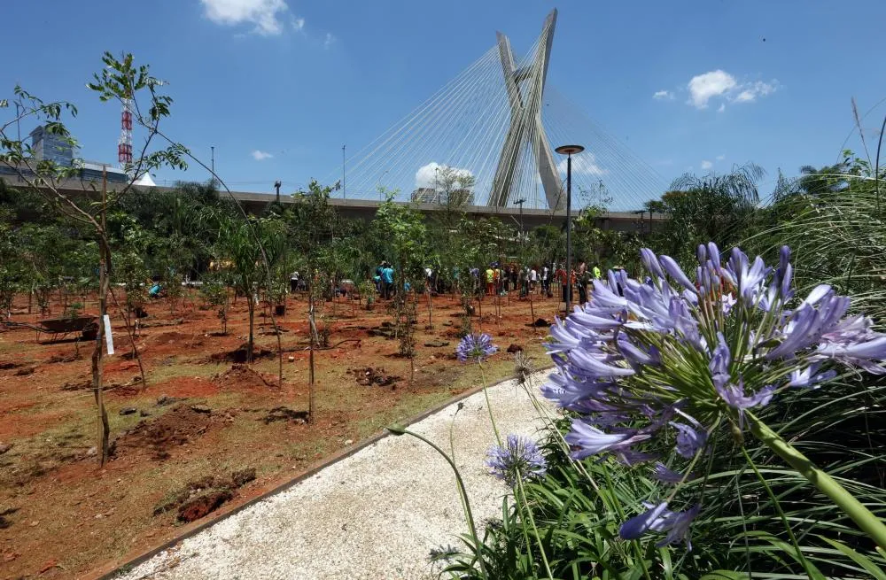 Prefeitura de São Paulo celebra marca de 115 mil árvores plantadas com inauguração do Bosque Biguá, na Zona Sul