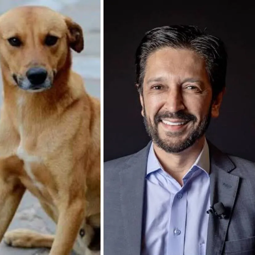 Ricardo Nunes determina queima de fogos silenciosa em réveillon de São Paulo; medida visa proteger autistas, idosos, crianças e animais do barulho