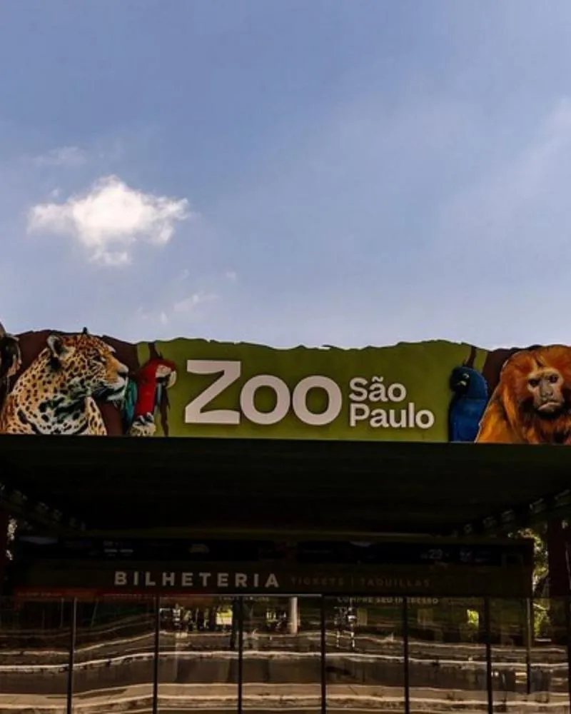 Saiba o que fazer em São Paulo nas férias de janeiro: atrações para todas as idades, com parques, exposições e atividades gratuitas