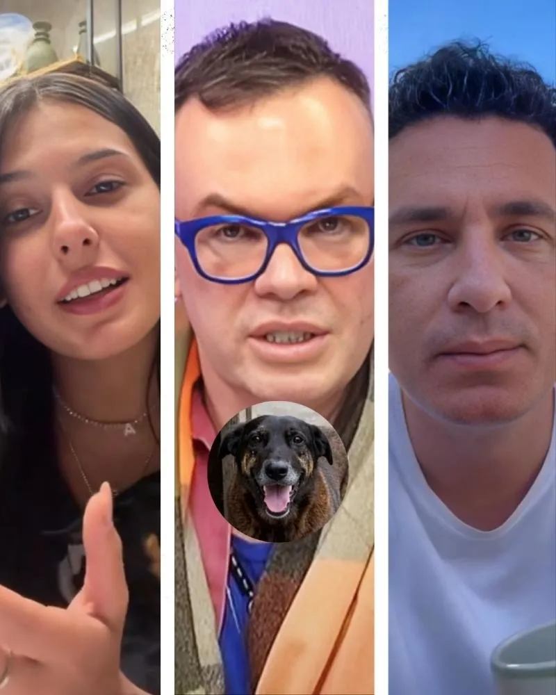 Celebridades se revoltam com assassinato de cão Orelha em SC e Felipeh Campos solta o verbo: “Precisamos gritar por justiça”