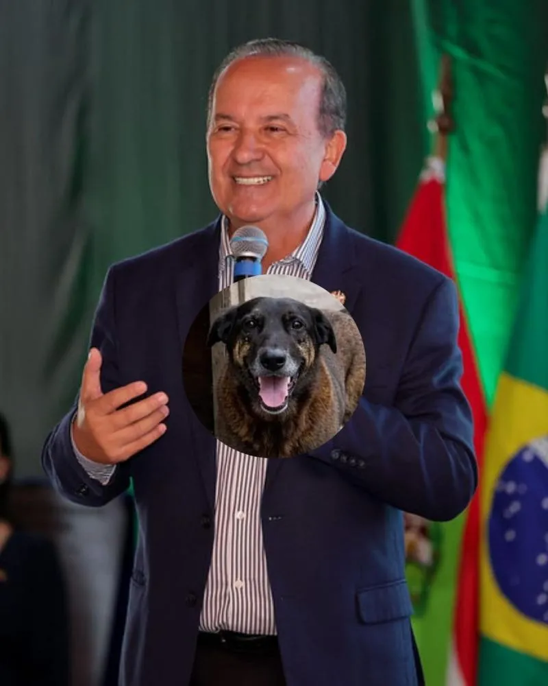 Saiba quem é o governador de Santa Catarina que acompanha de perto o caso do Cão Orelha