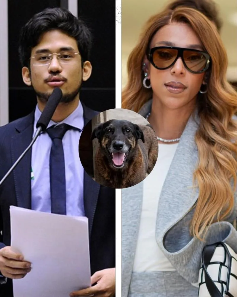 Kim Kataguri, Erika Hilton e outros parlamentares se manifestam sobre assassinato de cão Orelha