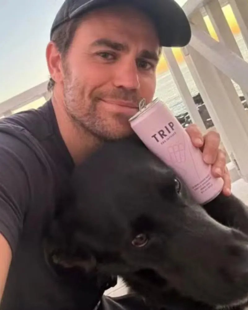 Ator americano Paul Wesley, de 'Diários de um Vampiro', compartilha post sobre morte do cão Orelha e pede por justiça