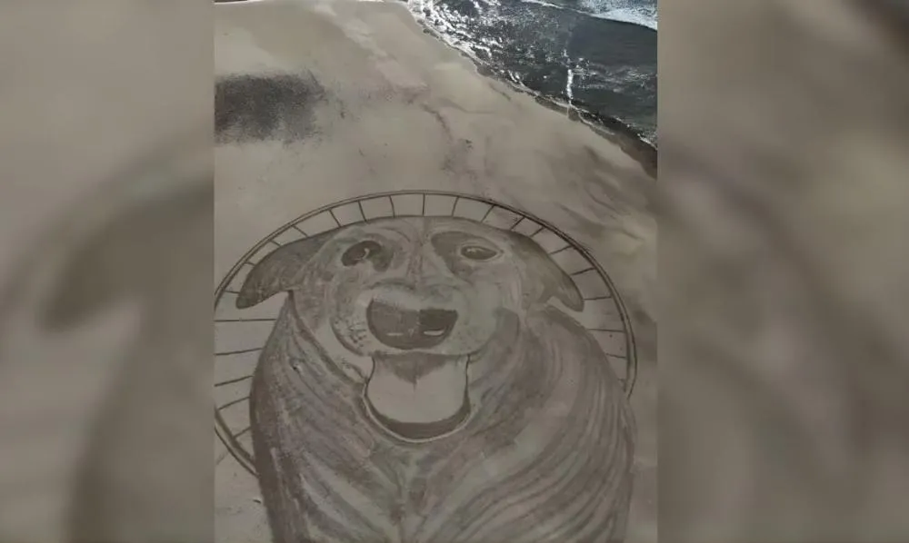Cão Orelha ganha homenagem com desenho de 40 metros em praia de Florianópolis
