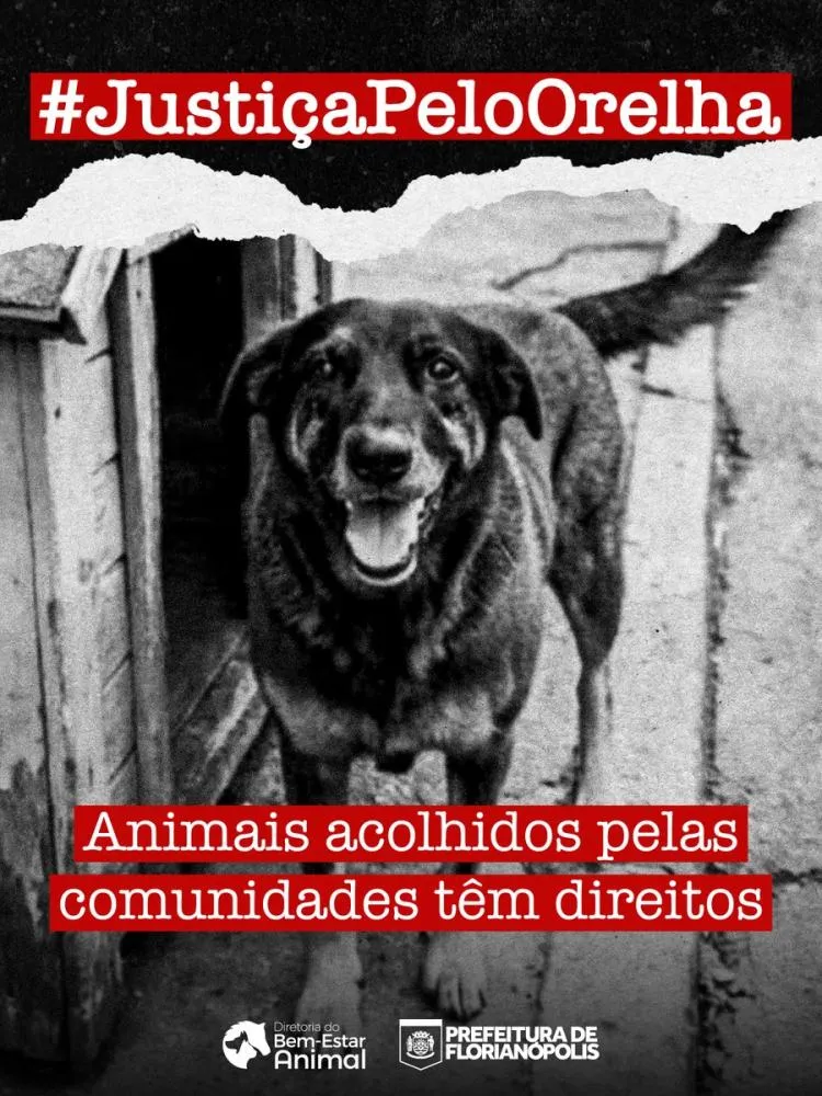 Familiar de suspeito tentou esconder peça-chave da investigação