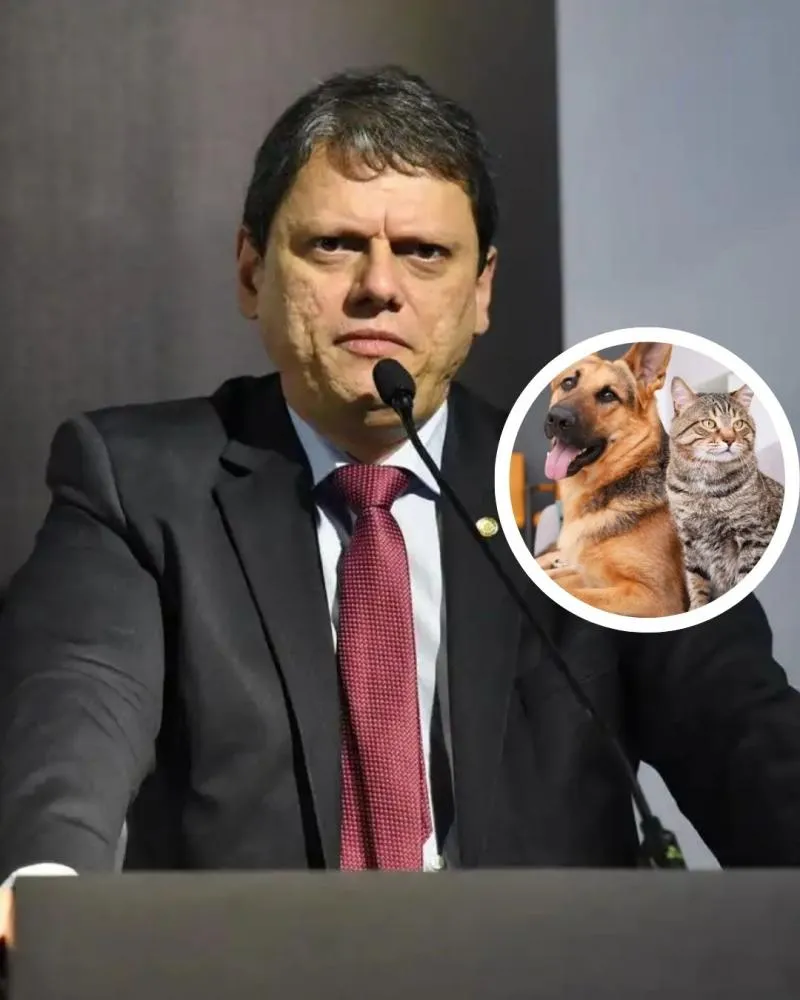 Tarcísio sanciona lei que autoriza sepultamento de cães e gatos em jazigos da família | Você aprova essa nova lei?