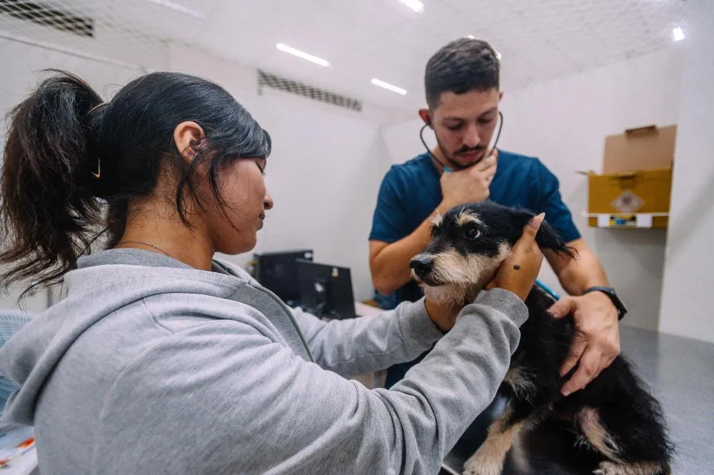Ricardo Nunes amplia atendimento e renomeia hospital veterinário da Zona Leste como “Cão Orelha”